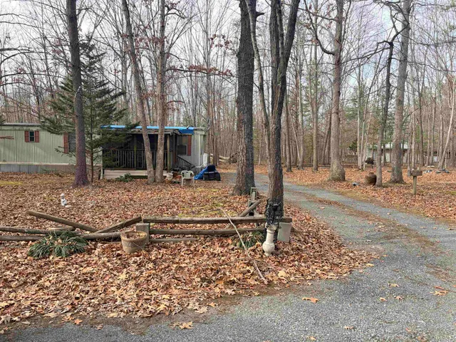 a view of a backyard with large trees