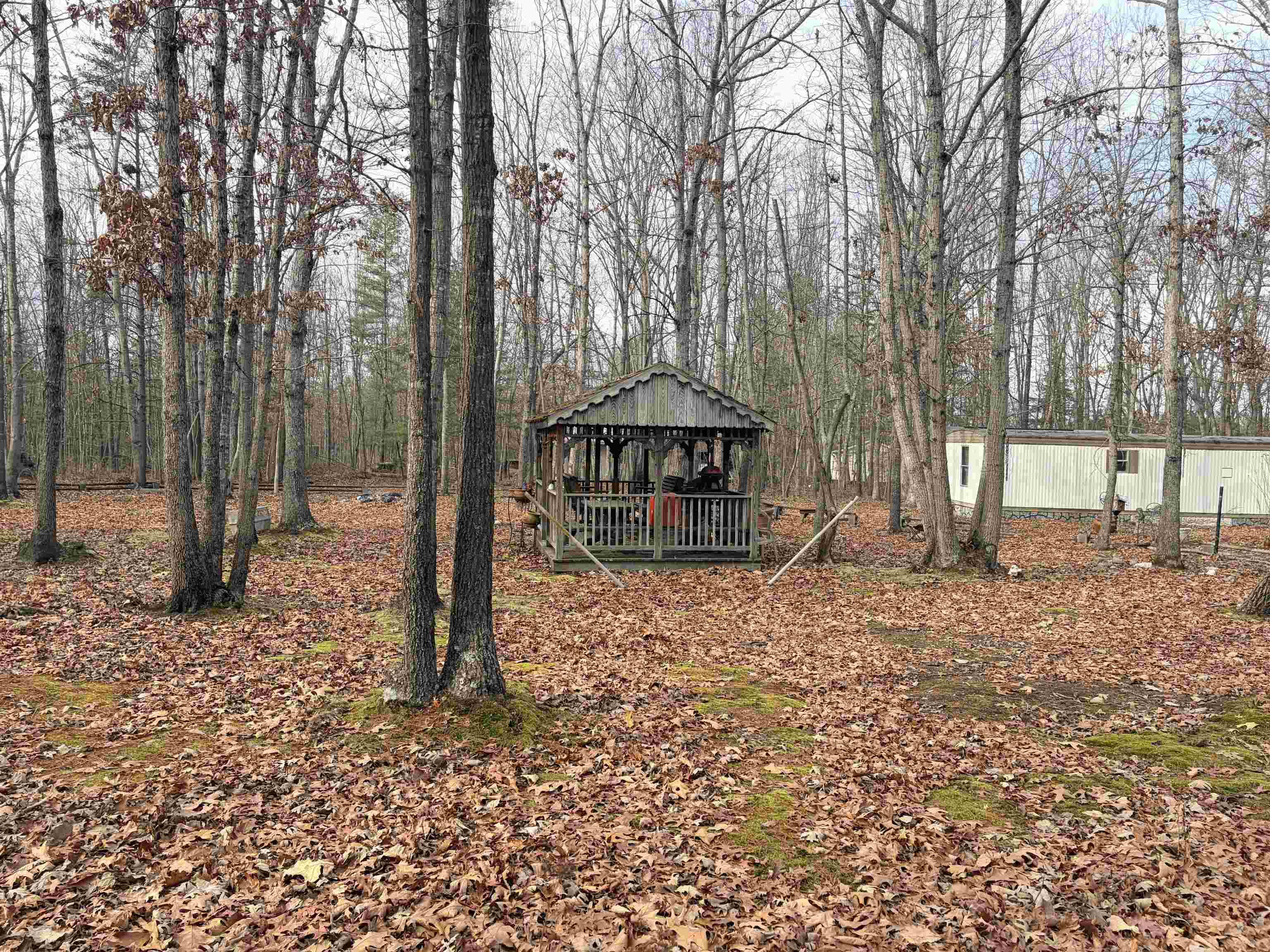 516 Thorofare Road Crimora, VA 24431 - Photo 5 of 10 a backyard of a house with lots of green space