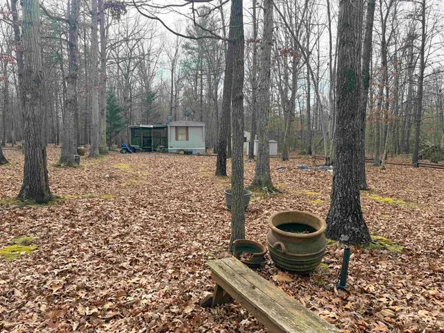 a view of a yard with a tree