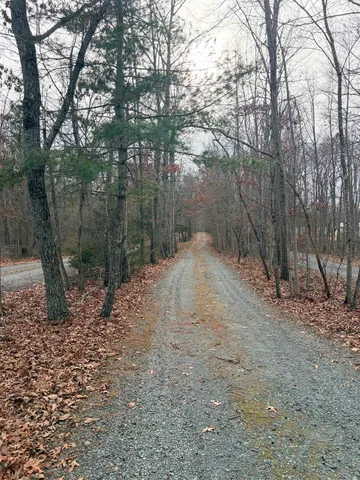 a view of outdoor space with trees