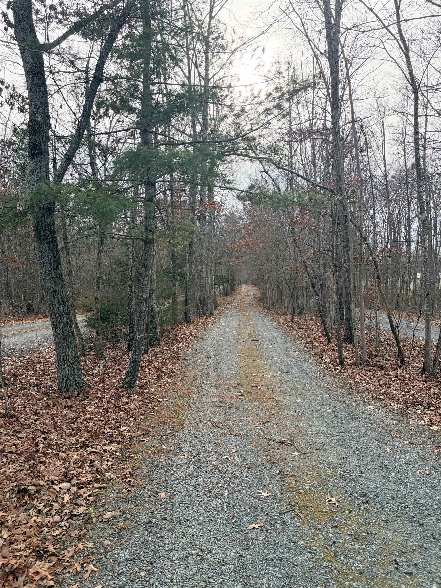 516 Thorofare Road Crimora, VA 24431 - Photo 9 of 10 a view of a covered with snow in the background