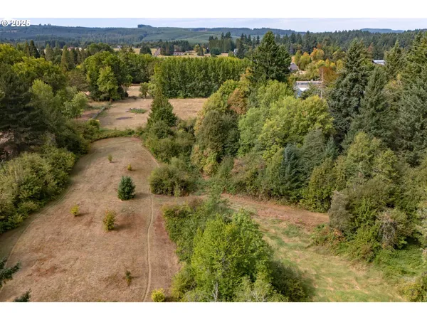 a view of a yard with a tree