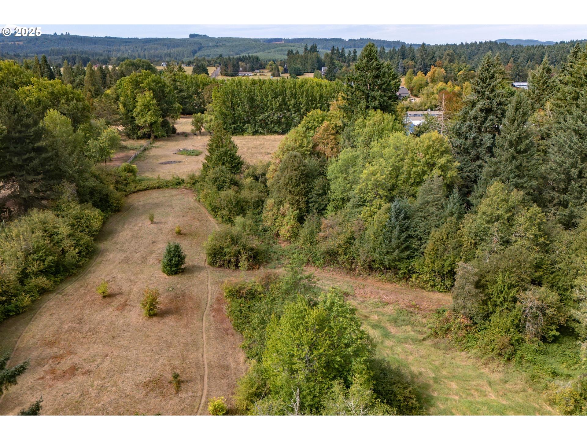 Bennet Road Warren, OR 97053 - Photo 11 of 22 a view of a yard with a tree