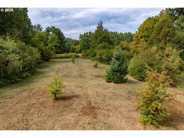a view of a dry yard with wooden fence
