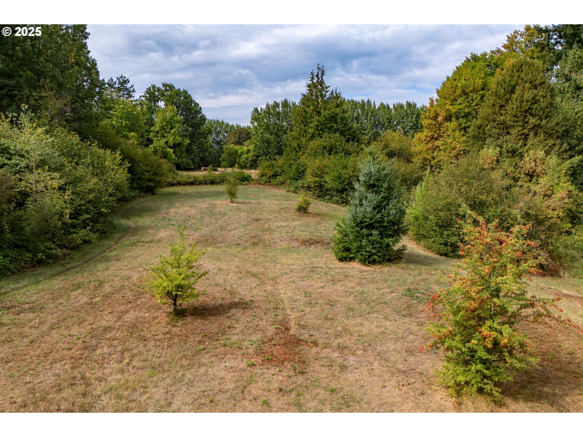 Bennet Road Warren, OR 97053 - Photo 12 of 22 a backyard of a house with lots of green space