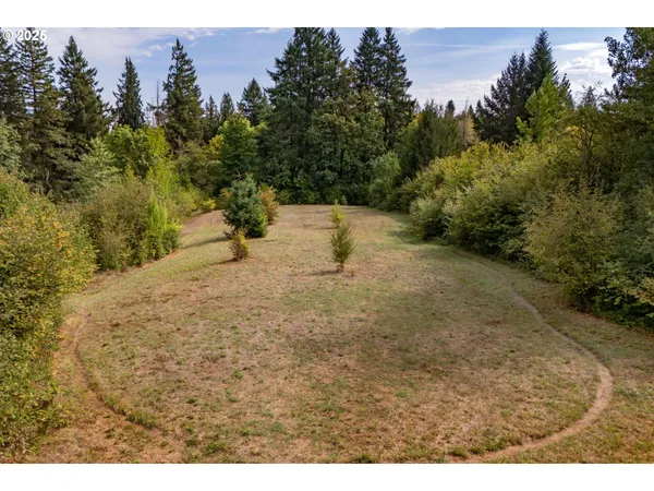 a view of a bunch of trees and bushes