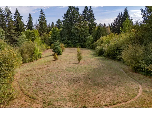 a view of a bunch of trees and bushes