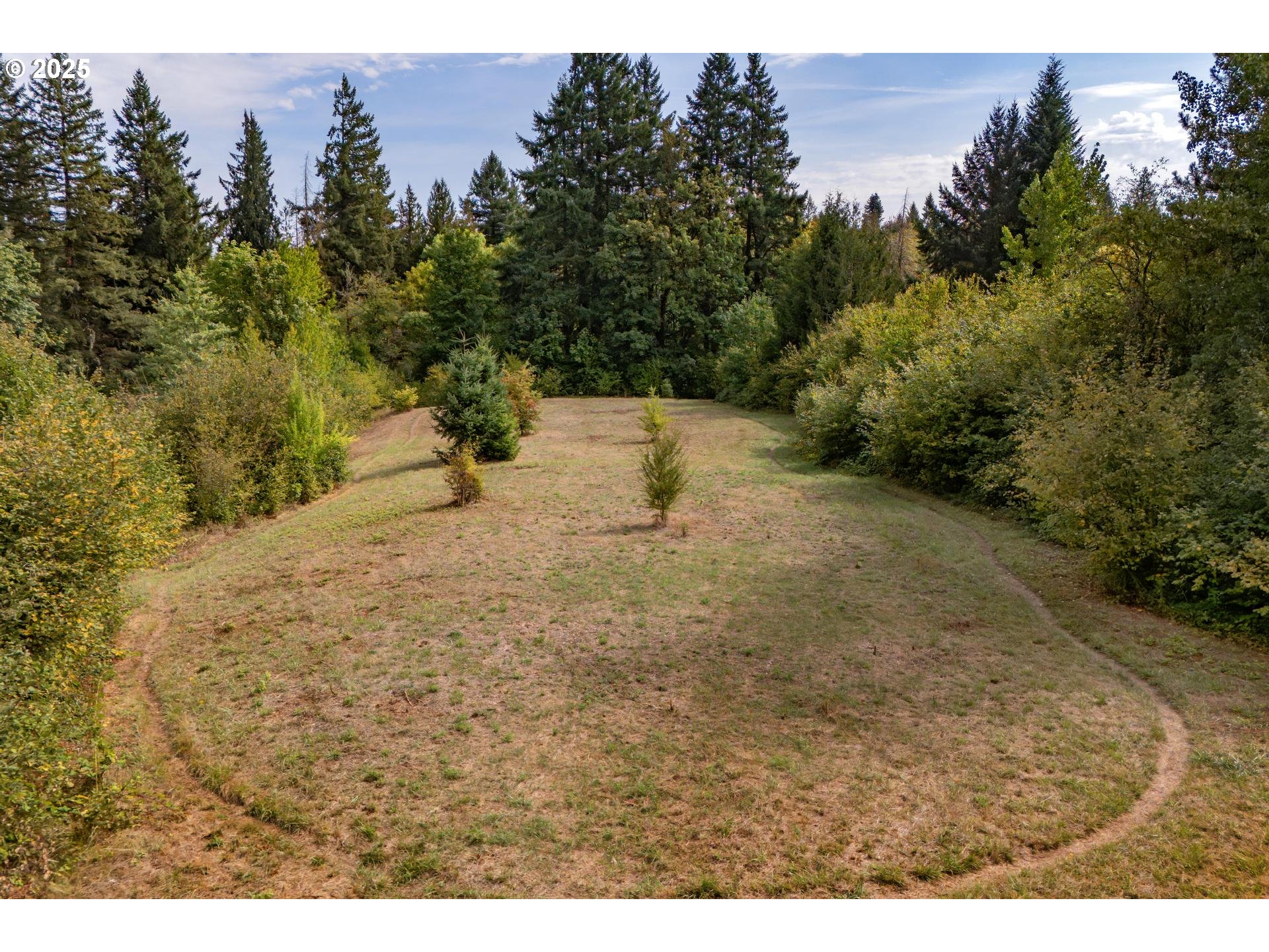 Bennet Road Warren, OR 97053 - Photo 13 of 22 a view of a yard with a tree