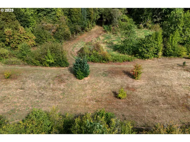 a view of outdoor space and yard