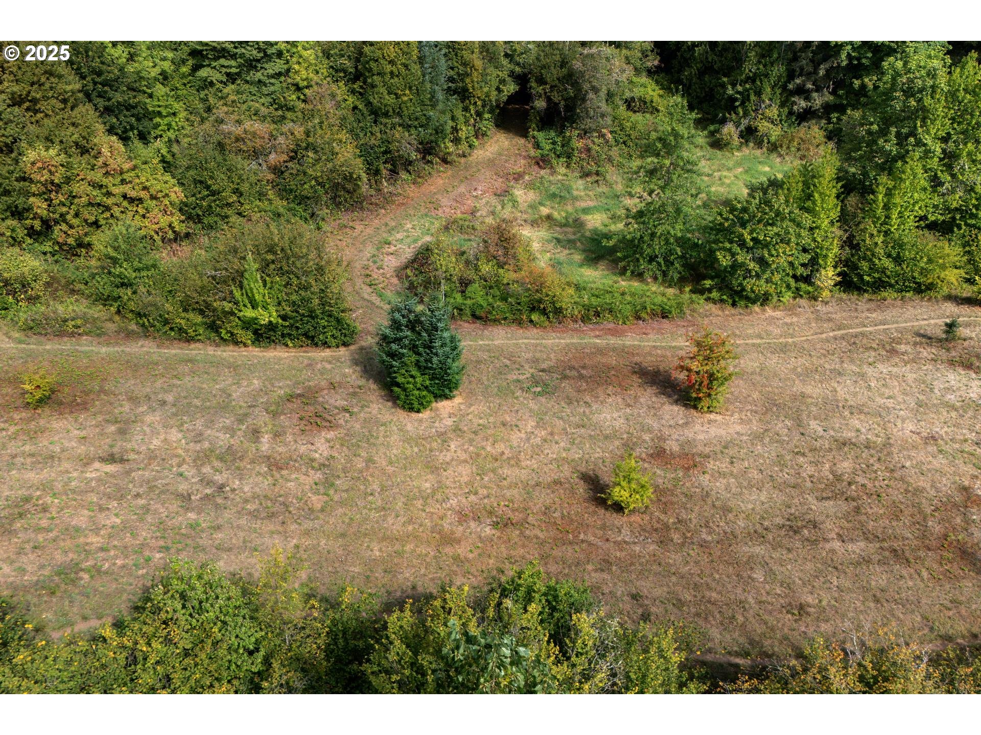 Bennet Road Warren, OR 97053 - Photo 14 of 22 a view of a dry yard with wooden fence