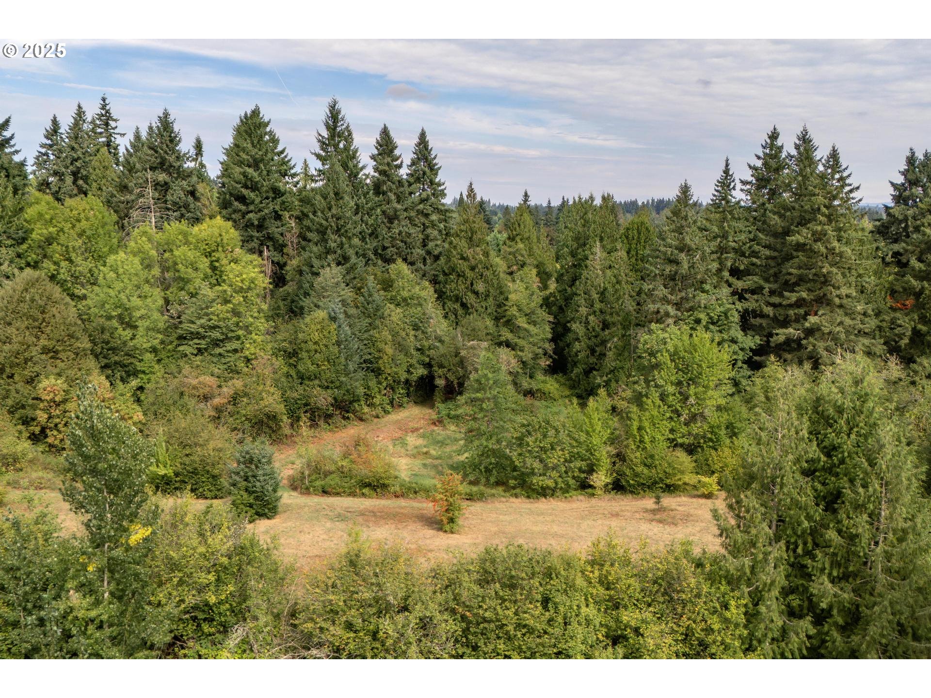 Bennet Road Warren, OR 97053 - Photo 15 of 22 a view of a bunch of trees and bushes