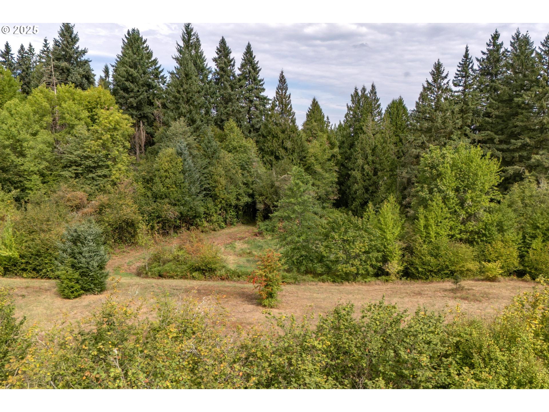 Bennet Road Warren, OR 97053 - Photo 16 of 22 a view of outdoor space and yard