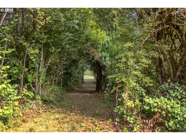 a view of an outdoor space and a yard