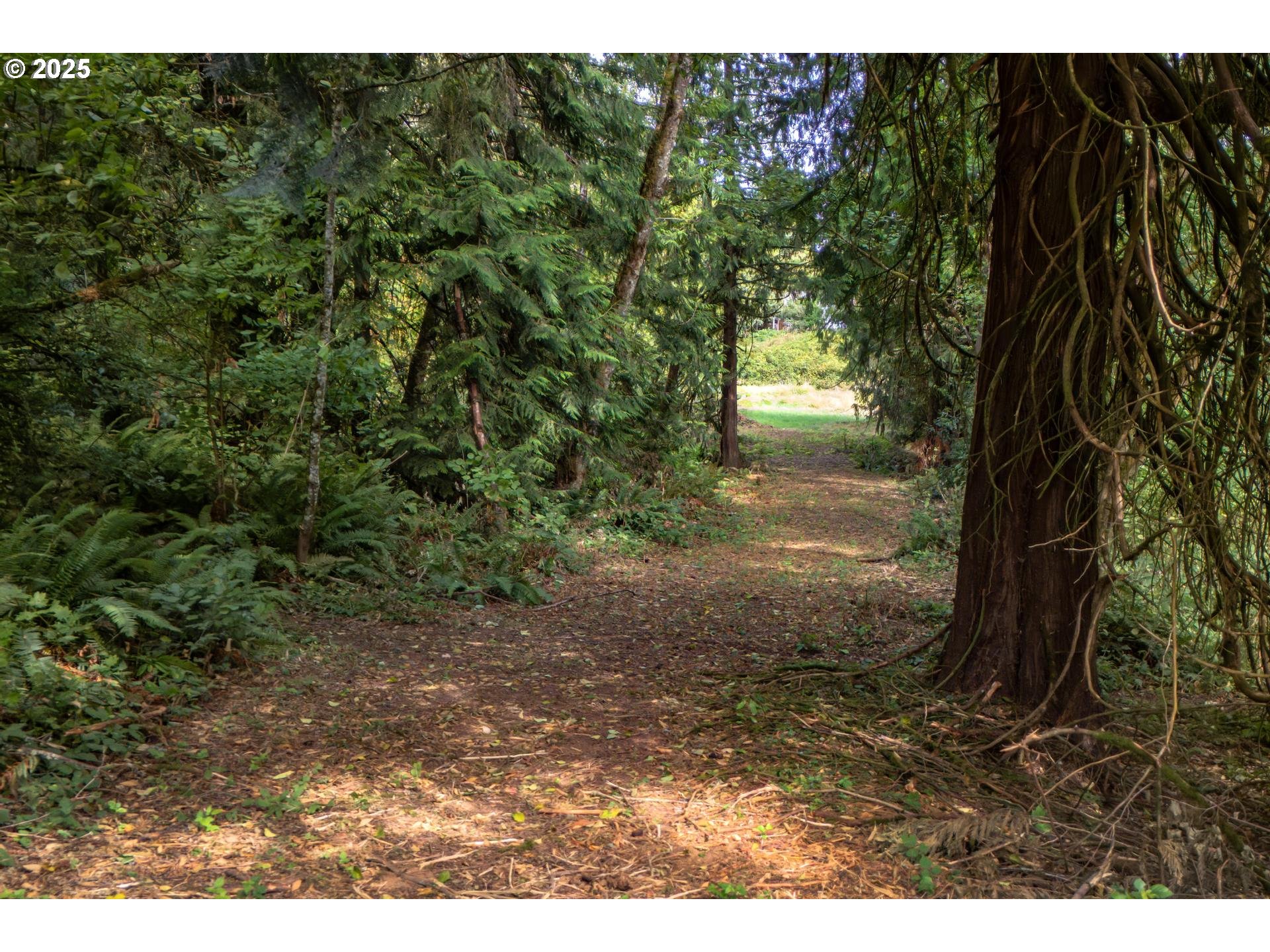 Bennet Road Warren, OR 97053 - Photo 18 of 22 a view of a yard with plants and a tree