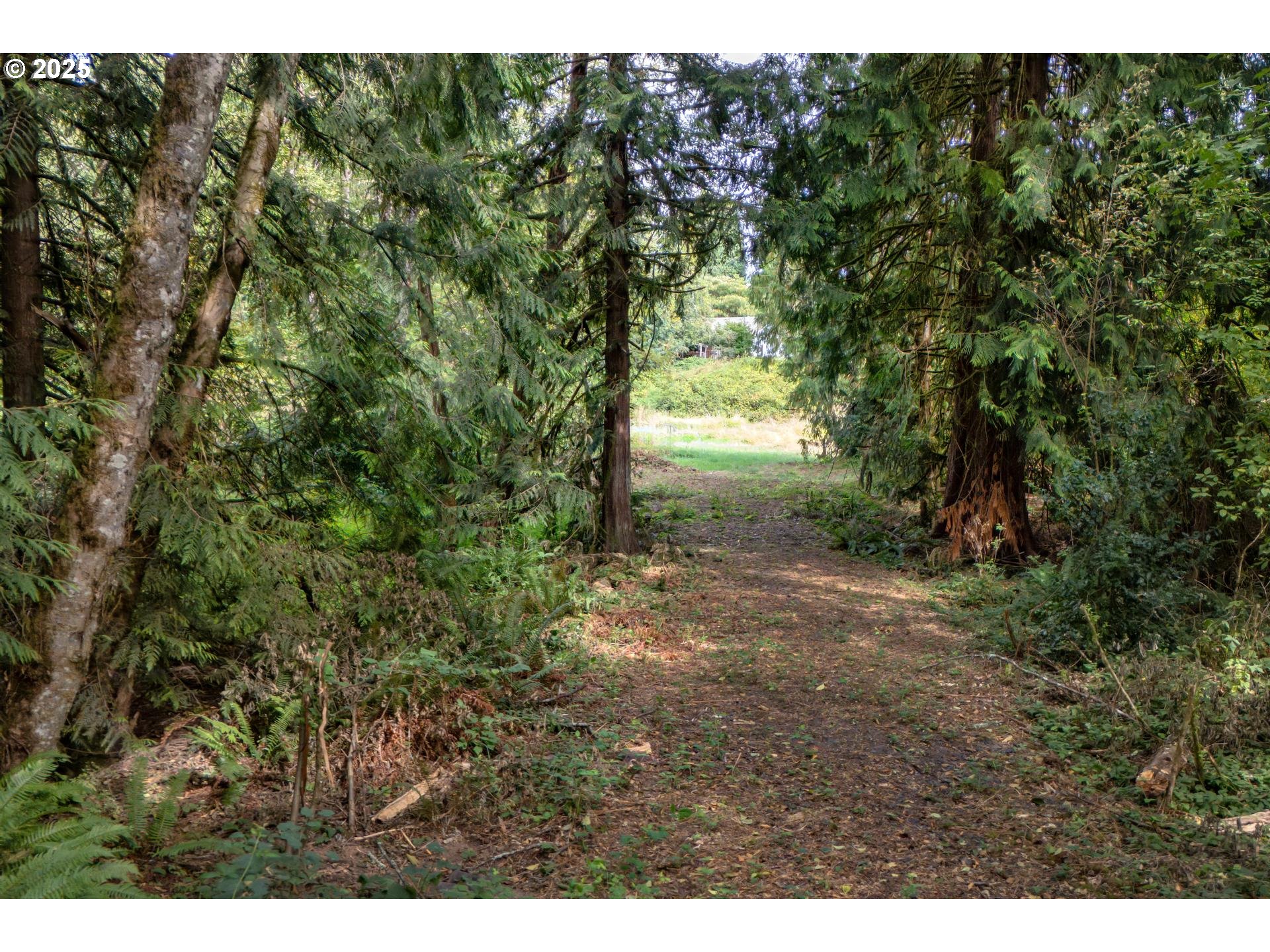 Bennet Road Warren, OR 97053 - Photo 19 of 22 a view of an outdoor space and a yard