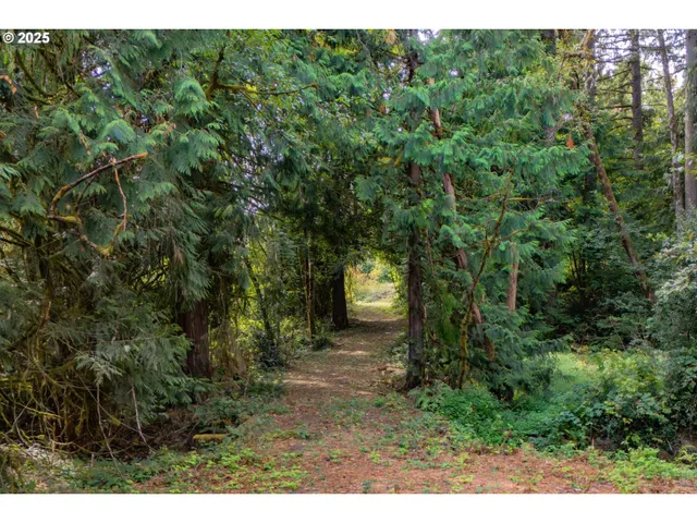 $300,000 | Bennet Road, Warren, OR 97053