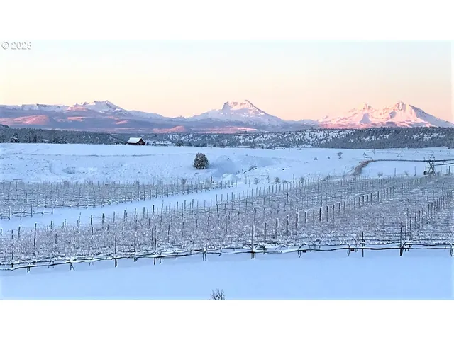 a black and white photo of a field