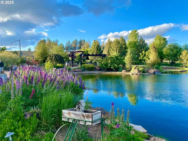 a view of a lake with a house in the background