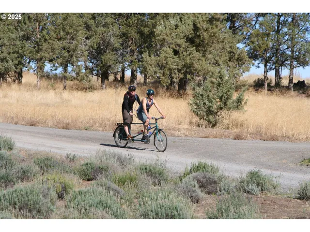 a view of a dry yard with green space