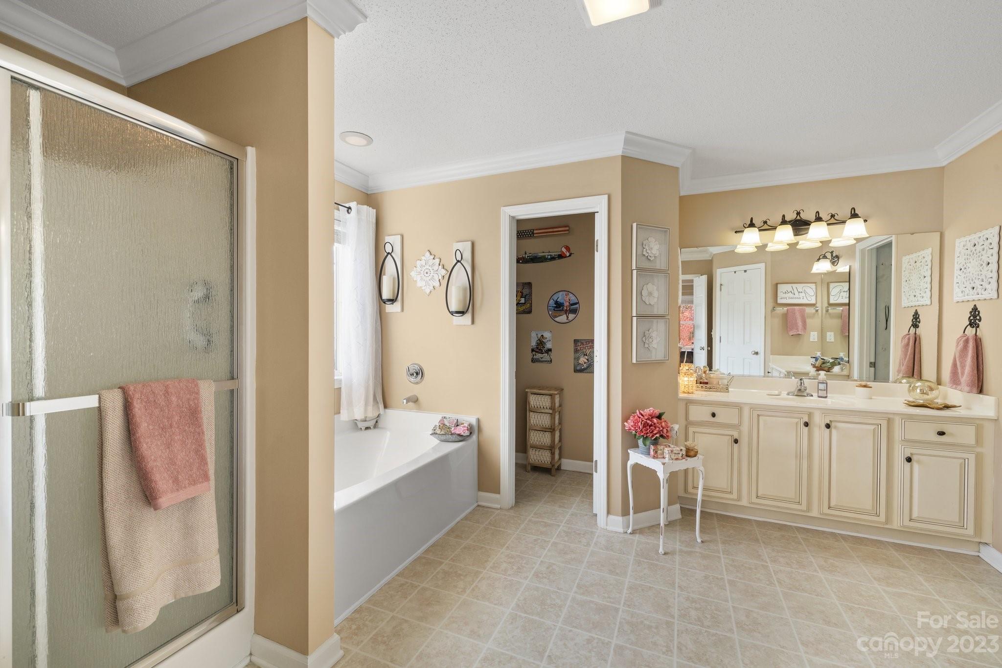 101 Woodfern Road Fletcher, NC 28732 - Photo 30 of 38 a bathroom with a tub sink and mirror
