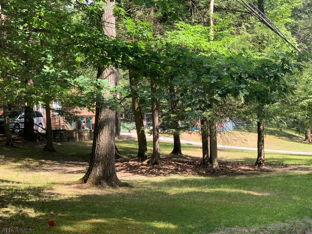 375 Kibler Lake Road Flinton, PA 16640 - Photo 16 of 18 a view of a garden with a tree