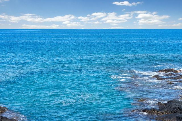 a view of a big yard with swimming pool and outdoor seating