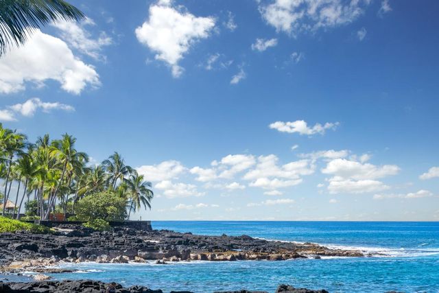 a view of a terrace with chairs