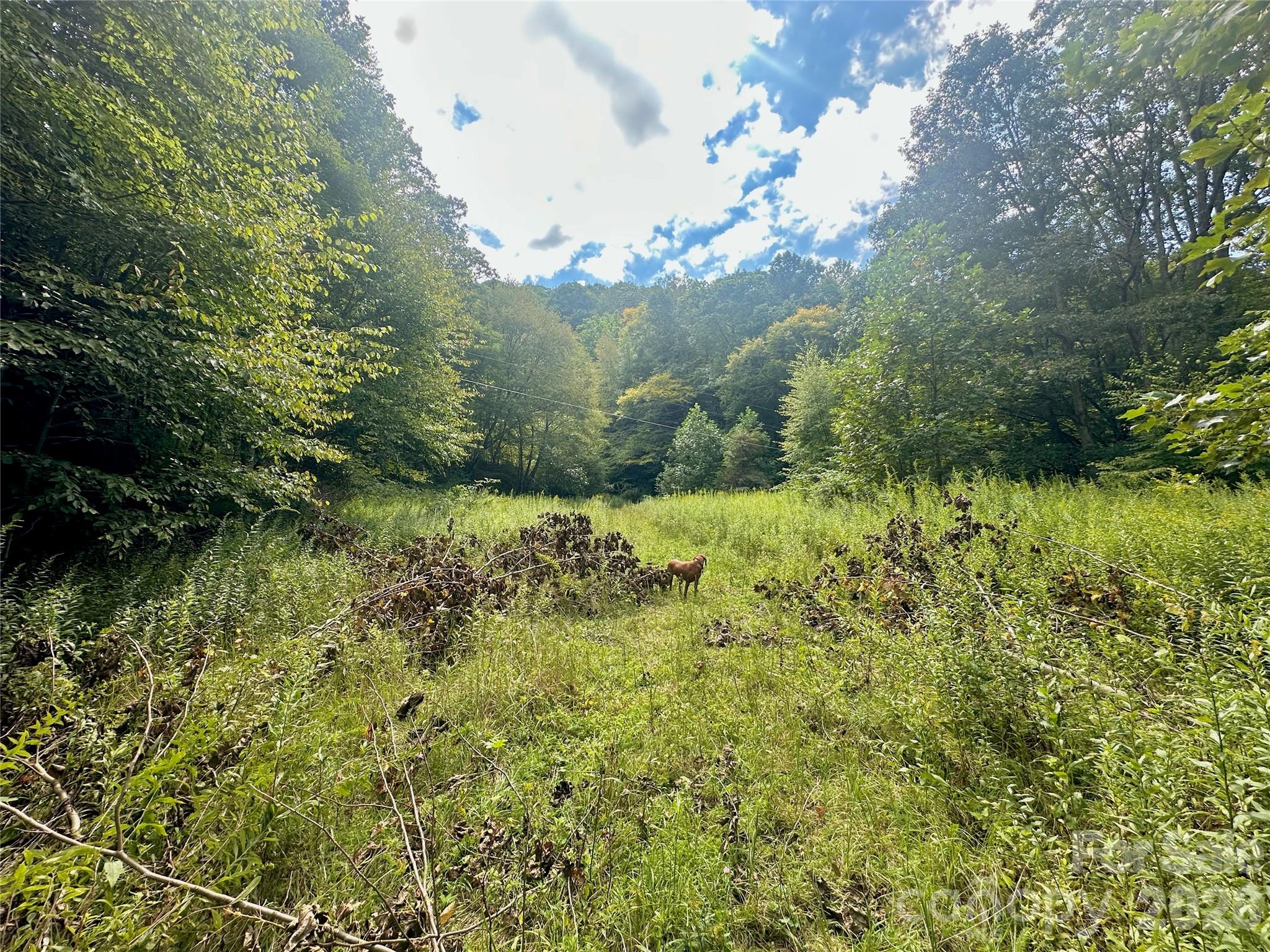 Tbd Old Anderson Quarry Road Vilas, NC 28692 - Photo 20 of 21