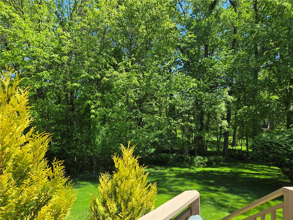 1081 Bright Stream Way Webster, NY 14580 - Photo 49 of 50 The view from the deck is a very private feel.