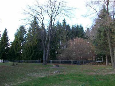 4047 East Farrand Road Clio, MI 48420 - Photo 8 of 12 20189997-7.JPG