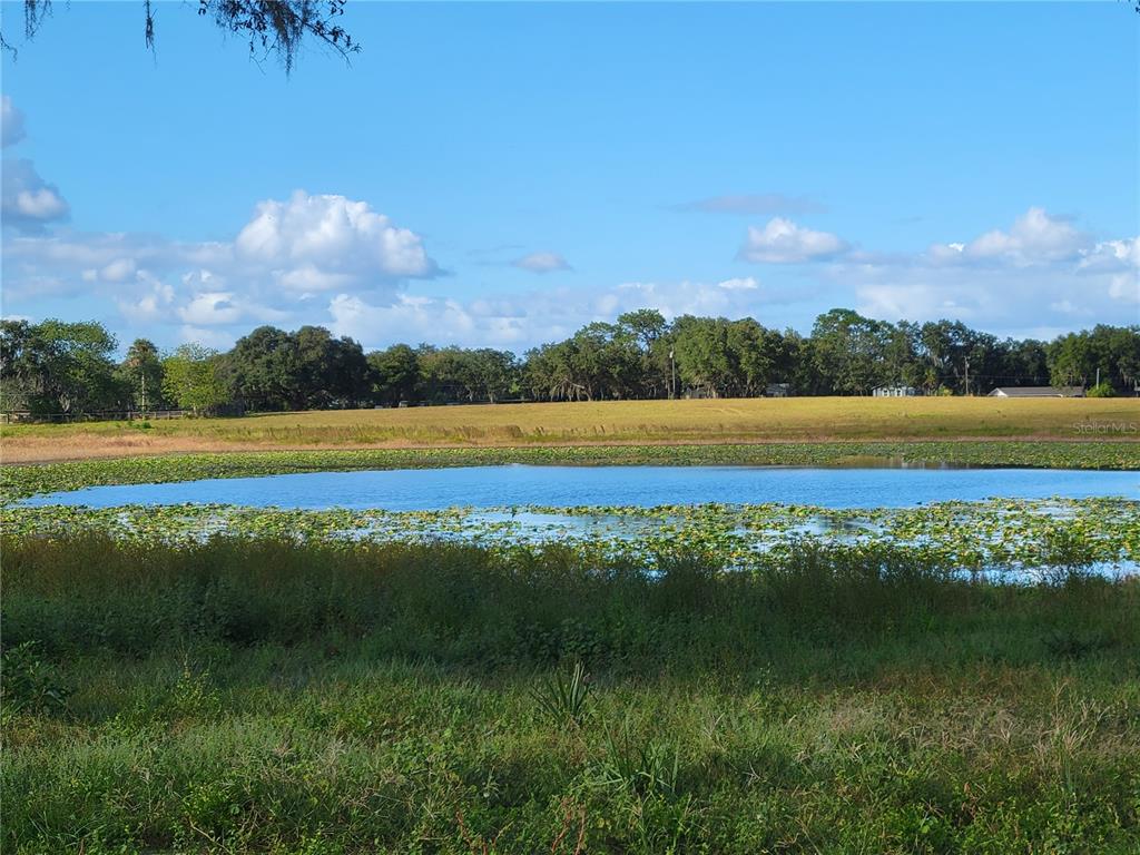 Southeast 74th Lane Road, Unit 8WEST Ocklawaha, FL 32179 - Photo 12 of 52