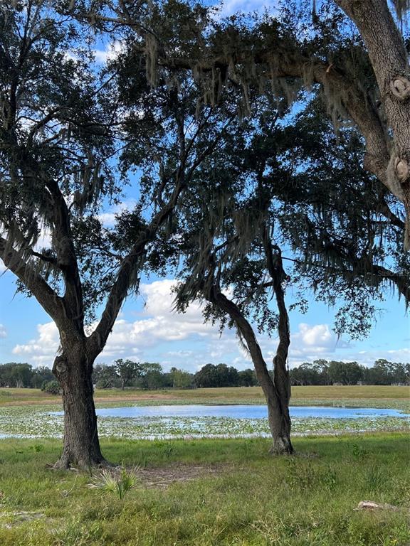 Southeast 74th Lane Road, Unit 8WEST Ocklawaha, FL 32179 - Photo 29 of 52