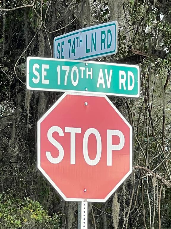 Southeast 74th Lane Road, Unit 8WEST Ocklawaha, FL 32179 - Photo 30 of 52