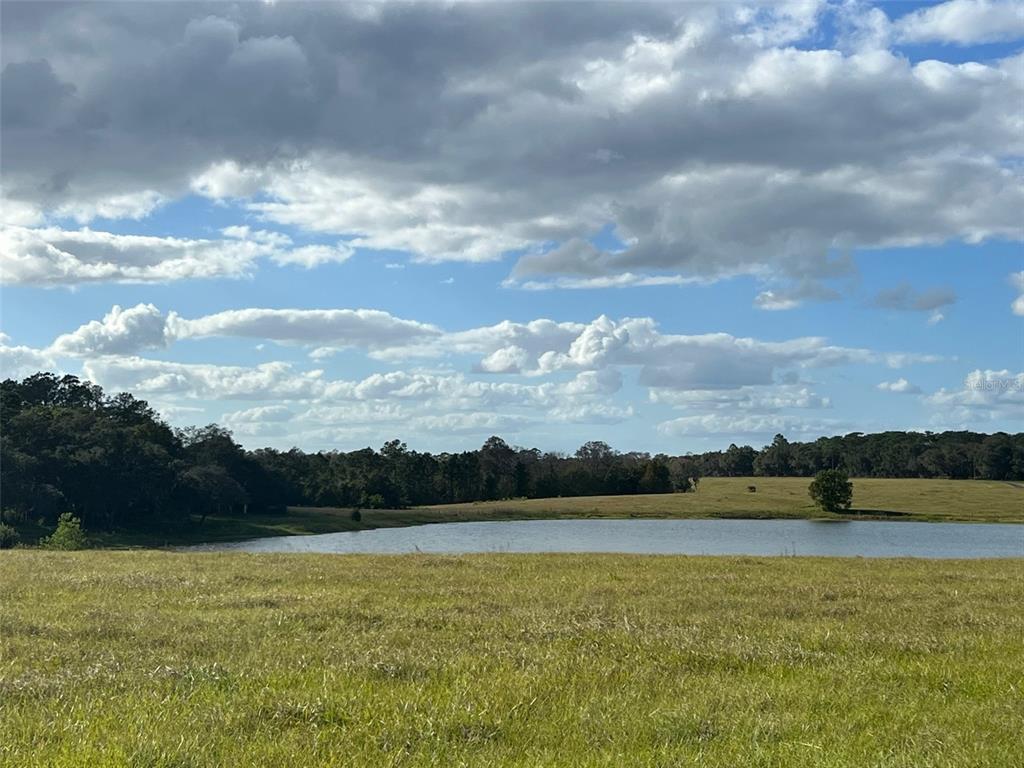 Southeast 74th Lane Road, Unit 8WEST Ocklawaha, FL 32179 - Photo 33 of 52