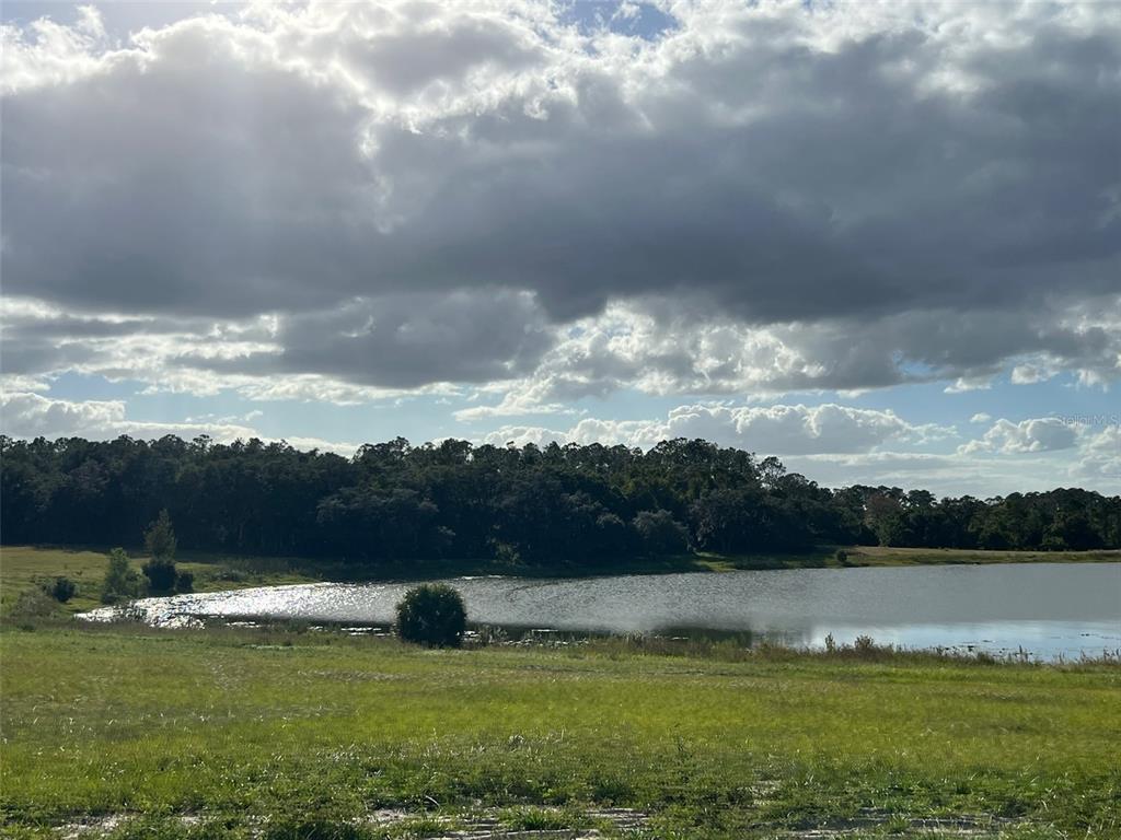 Southeast 74th Lane Road, Unit 8WEST Ocklawaha, FL 32179 - Photo 34 of 52