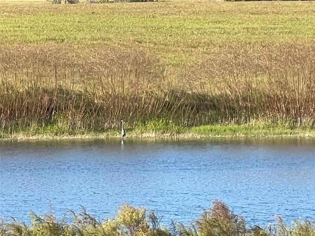Southeast 74th Lane Road, Unit 8WEST Ocklawaha, FL 32179 - Photo 37 of 52