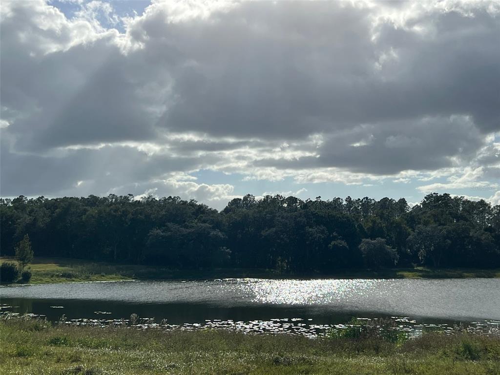 Southeast 74th Lane Road, Unit 8WEST Ocklawaha, FL 32179 - Photo 39 of 52