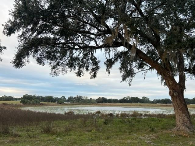 Southeast 74th Lane Road, Unit 8WEST Ocklawaha, FL 32179 - Photo 48 of 52