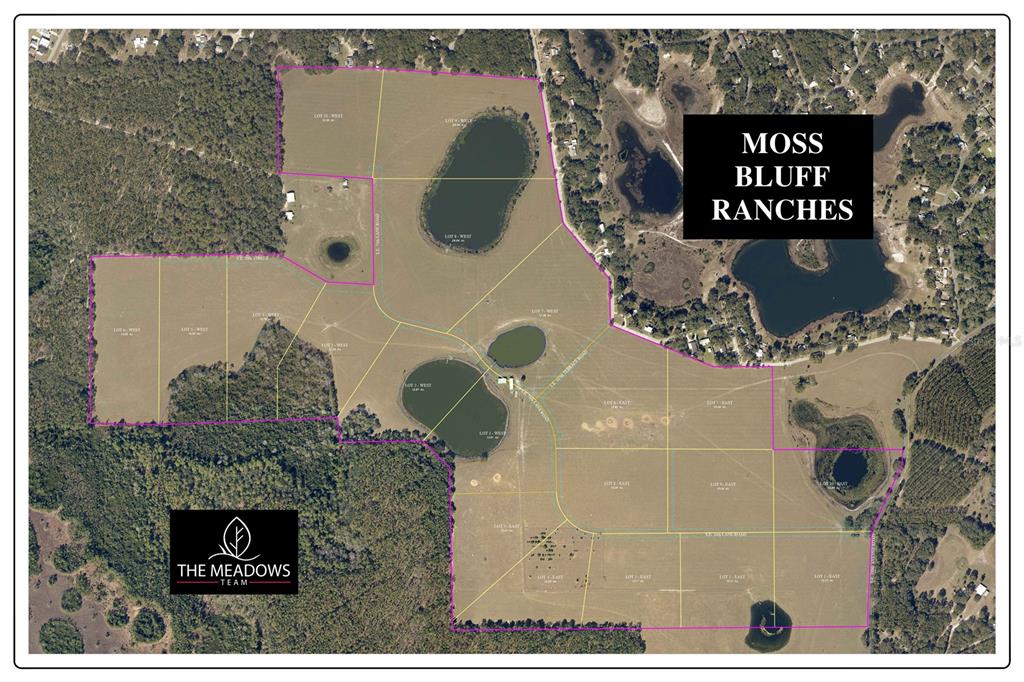 Southeast 74th Lane Road, Unit 8WEST Ocklawaha, FL 32179 - Photo 5 of 52