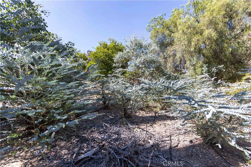 42760 India Place Temecula, CA 92592 - Photo 1 of 1 a view of a large yard with lots of plants