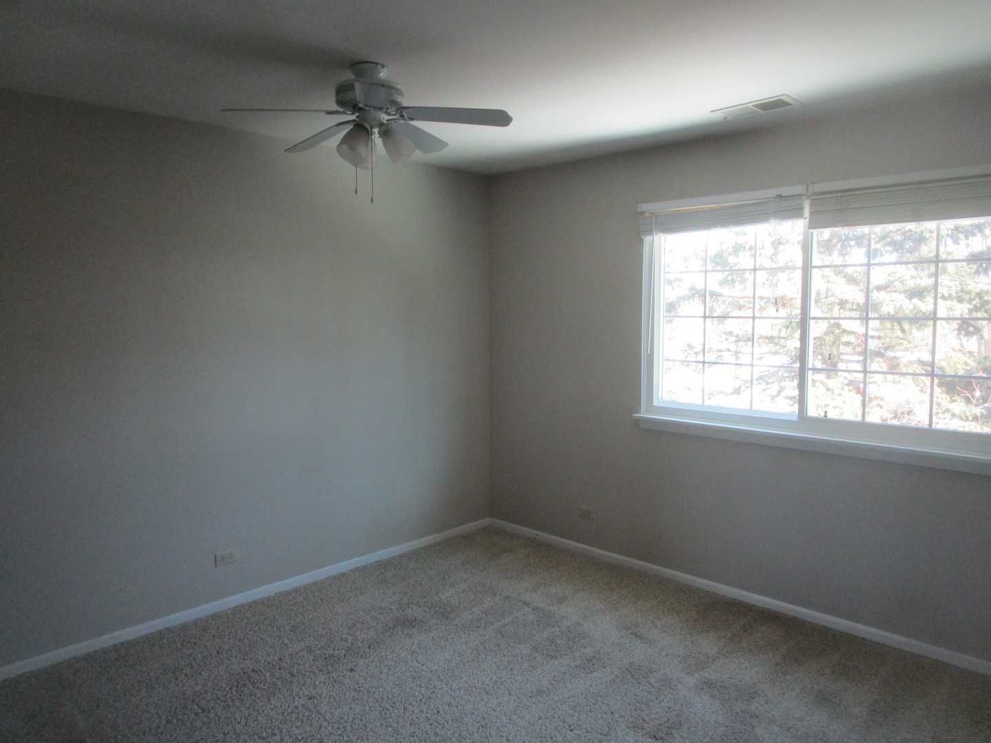 17796 Braewick Road Gurnee, IL 60031 - Photo 13 of 17