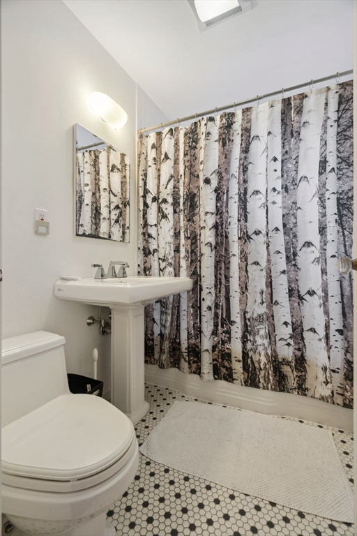 172 Bellevue Road Watertown, MA 02472 - Photo 26 of 34 a bathroom with a toilet sink and shower