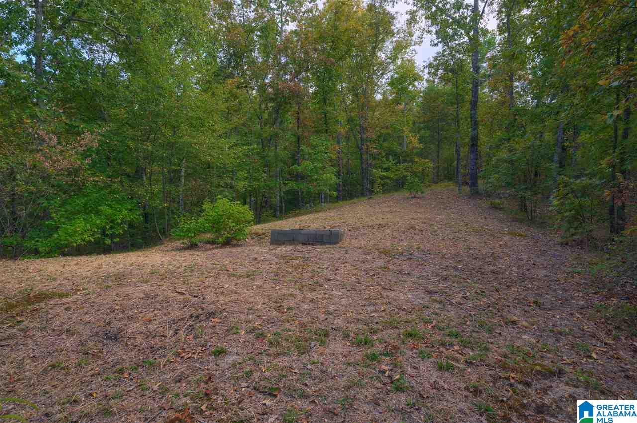 860 Country Road Warrior, AL 35180 - Photo 14 of 41 Gallery Image 14