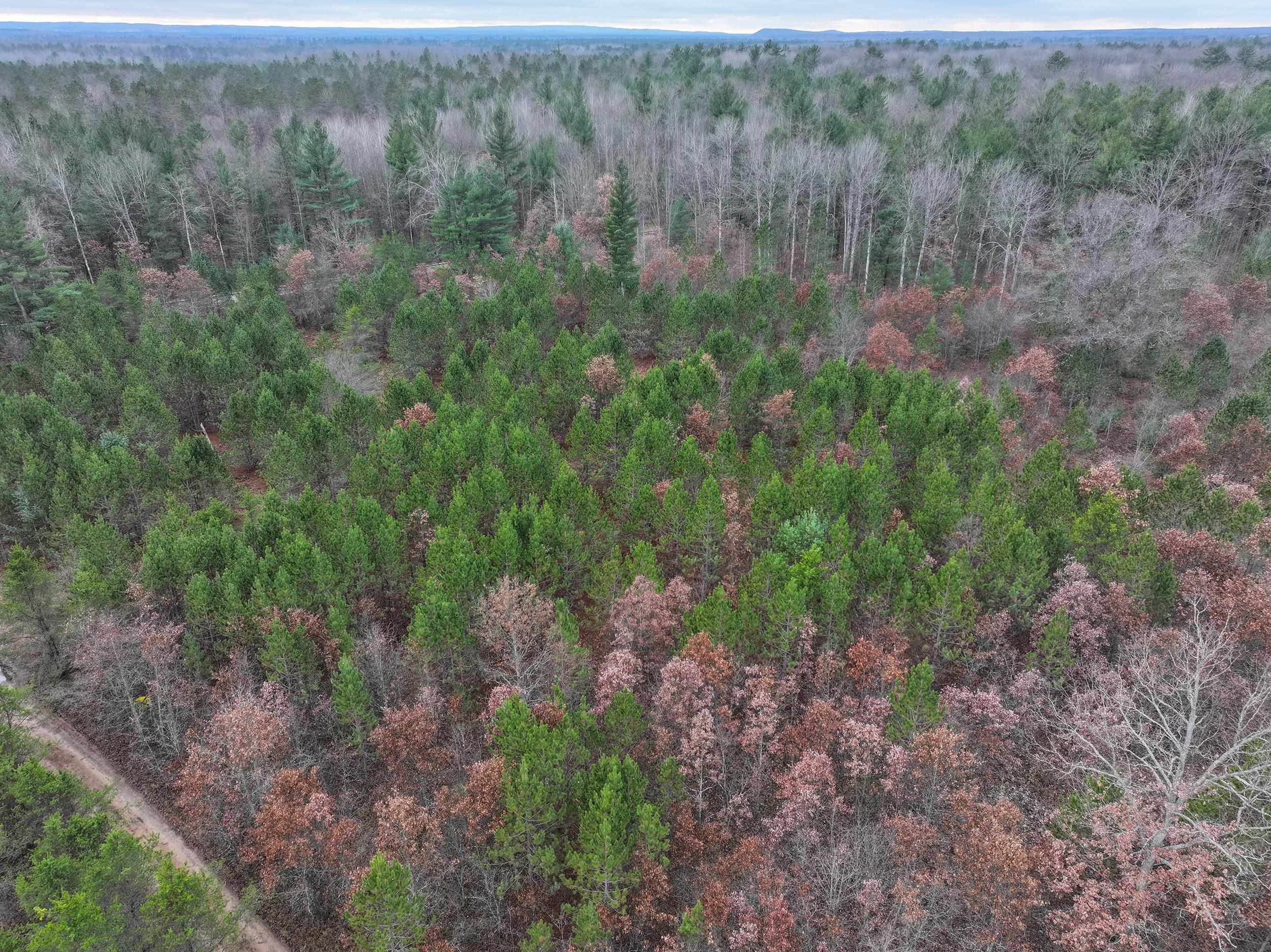 Parcel D Northeast Parcel D Ne Hodge Road Kingsley, MI 49649 - Photo 11 of 12