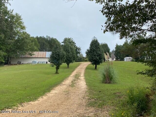 2036 Dodson Road Winfield, AL 35594 - Photo 15 of 37 Gallery Image 15