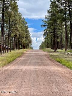 4 Escudilla Road Alpine, AZ 85920 - Photo 30 of 34