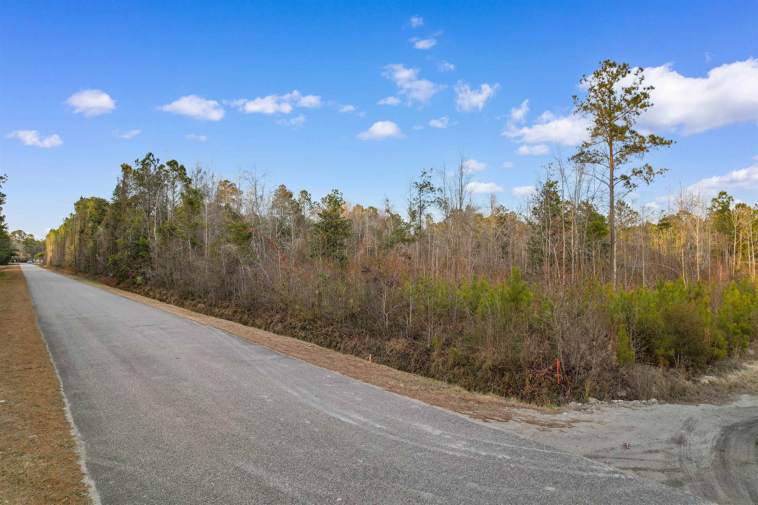Tbd Fowler School Road Green Sea, SC 29545 - Photo 2 of 8