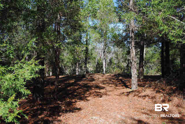 43 Donovan Drive Seminole, AL 36574 - Photo 1 of 1
