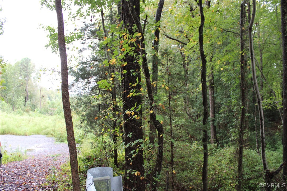 11300 Quaker Road Dinwiddie, VA 23841 - Photo 3 of 9 View from Quaker Road