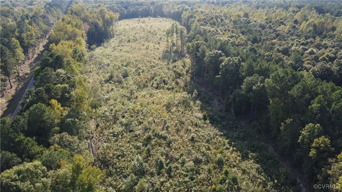 11300 Quaker Road Dinwiddie, VA 23841 - Photo 4 of 9 Aerial drone view